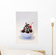 Vanilla Frozen Yogurt with