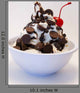 Vanilla Frozen Yogurt with