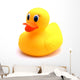 Yellow Rubber Ducky