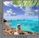 Illeta Wooden Pier Turquoise