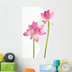 Twain pink water lily flower (lotus) and white background. Wall Decal