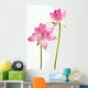 Twain pink water lily flower (lotus) and white background. Wall Decal
