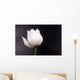White Lotus Wall Mural