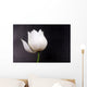 White Lotus Wall Mural