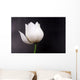 White Lotus Wall Mural