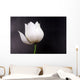 White Lotus Wall Mural