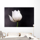 White Lotus Wall Mural