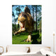 Spinozaur Spinosaurus Aegyptiacus Wall Decal
