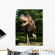Karnotaur Carnotaurus Sastrei Wall Mural