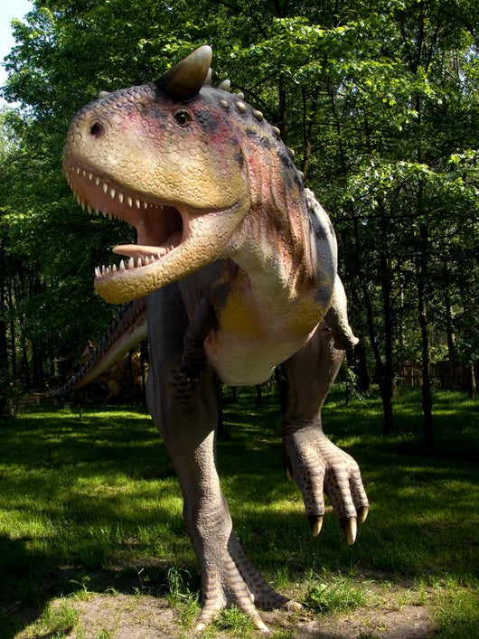 Karnotaur Carnotaurus Sastrei Wall Mural