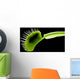 Venus Flytrap Wall Mural
