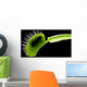 Venus Flytrap Wall Mural