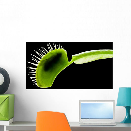 Venus Flytrap Wall Mural