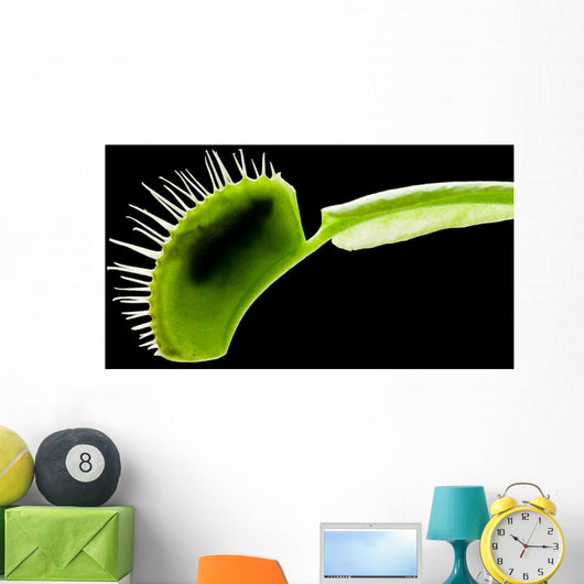 Venus Flytrap Wall Mural