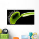 Venus Flytrap Wall Mural
