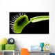 Venus Flytrap Wall Mural