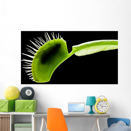 Venus Flytrap Wall Mural