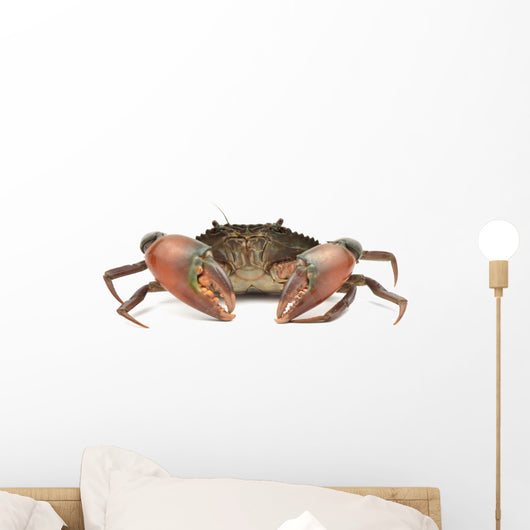 Crab Wall Decal