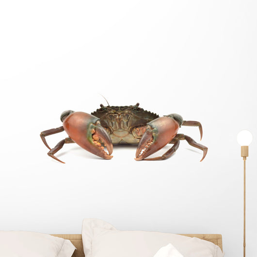 Crab Wall Decal