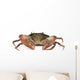 Crab Wall Decal