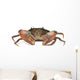 Crab Wall Decal