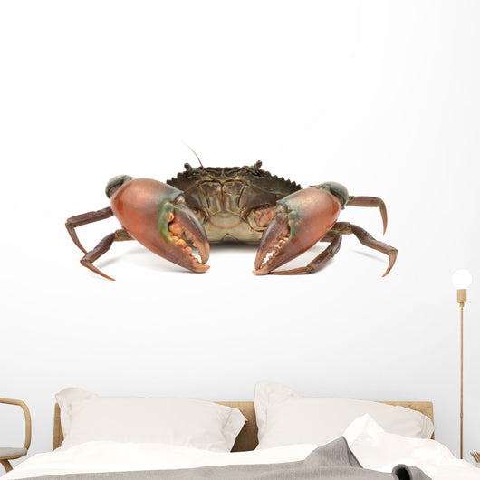 Crab Wall Decal