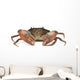 Crab Wall Decal