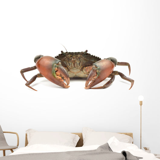 Crab Wall Decal