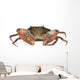 Crab Wall Decal