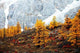 Autumn Mountain Forest Wall Decal
