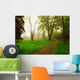 Foggy Park Wall Decal