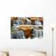 waterfall Wall Mural