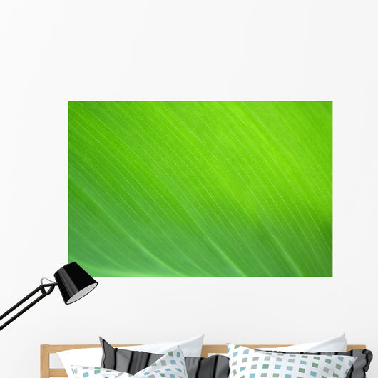 Color Nature