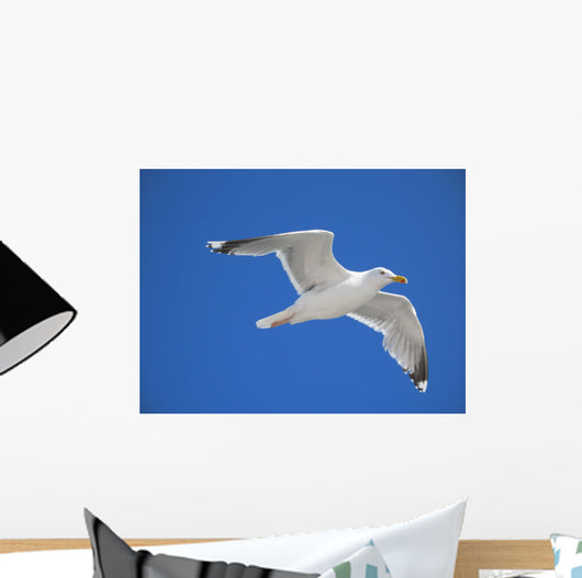 seagull Wall Mural