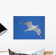 seagull Wall Mural