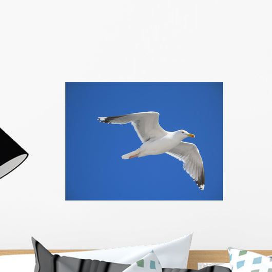 seagull Wall Mural
