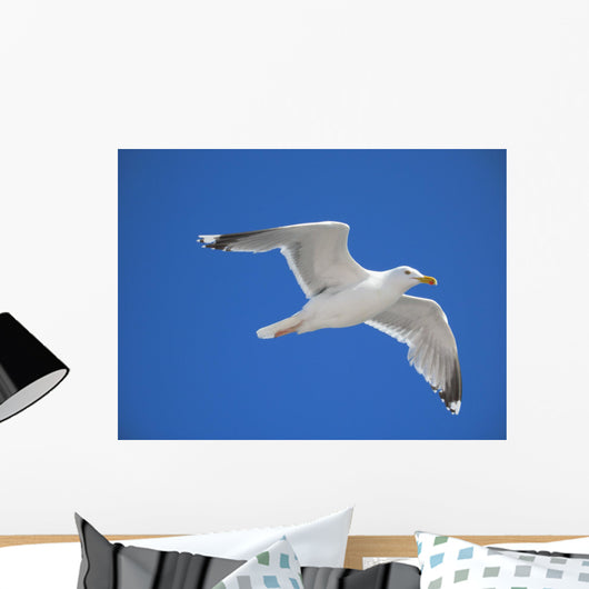 seagull Wall Mural