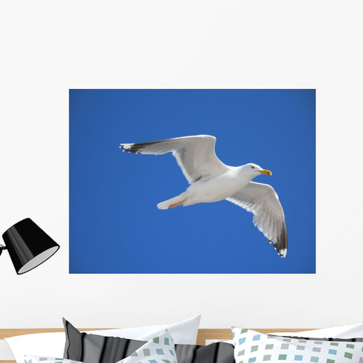 seagull Wall Mural