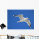 seagull Wall Mural