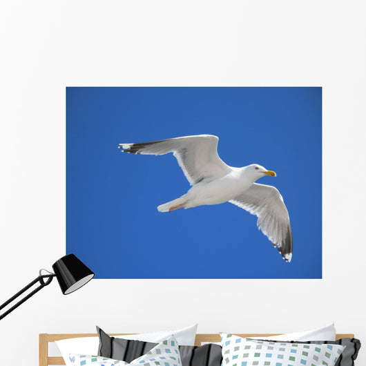 seagull Wall Mural