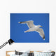 seagull Wall Mural