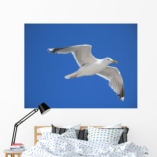 seagull Wall Mural