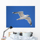 seagull Wall Mural