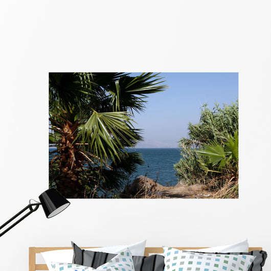 Sea Galilee