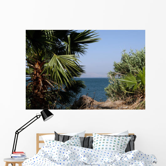 Sea Galilee