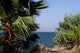 Sea Galilee