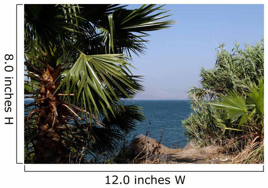 Sea Galilee
