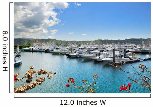 Sportfishing Boats Los Suenos Wall Decal