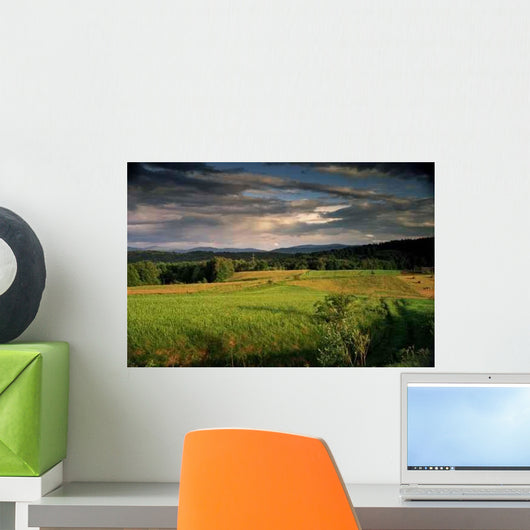 Green Field Landscape at Sunset Wall Decal