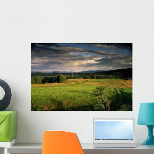 Green Field Landscape at Sunset Wall Decal